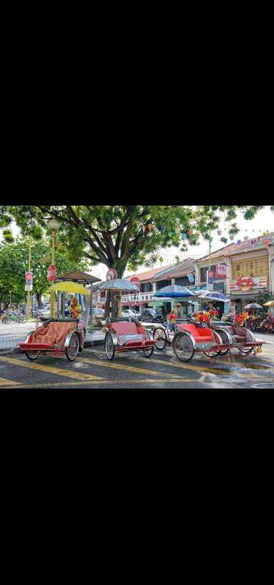 Penang: Penang Island Full-Day Private Tour - Museums and Entopia Butterfly Farm for Family-Friendly Time