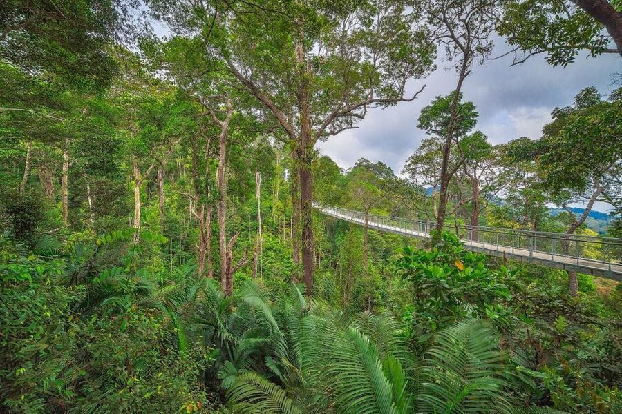 Penang: The Habitat Penang Hill Entry Ticket - Key highlights to look forward to
