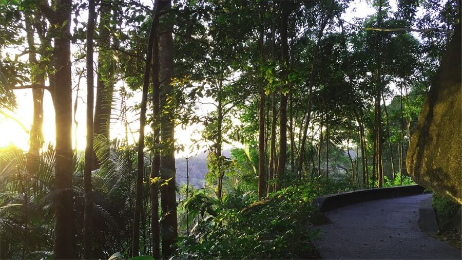 Penang: The Habitat Penang Hill Entry Ticket - The Habitat Penang Hill entry ticket, what you’re really buying