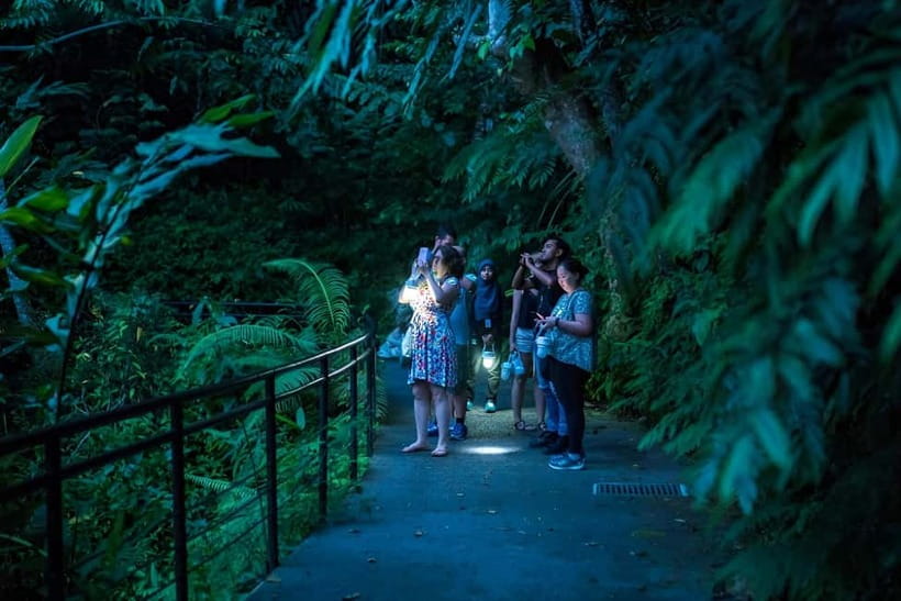 Penang: The Habitat Penang Hill Entry Ticket - Your rainforest day, step by step on the trail network