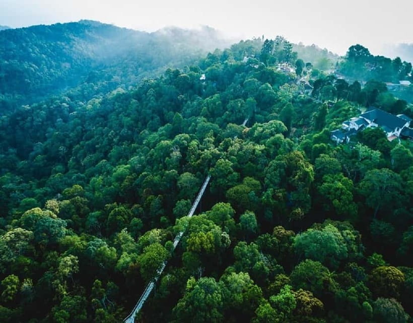 Penang: The Habitat Penang Hill Entry Ticket - Wildlife spotting, how to actually enjoy it