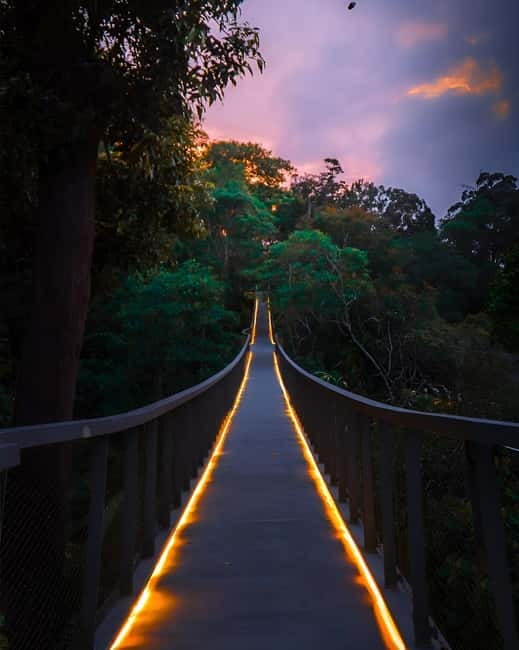 Penang: The Habitat Penang Hill Entry Ticket - Who this experience is best for