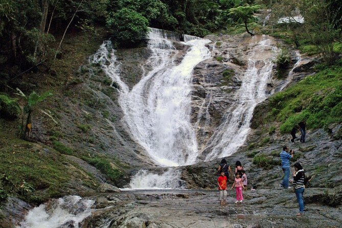 Private Full-Day Cameron Highlands Nature Tour from Kuala Lumpur - Ringlet and Orang Asli Culture: Semai Knowledge in Plain Form