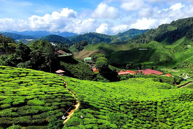 Private Full-Day Cameron Highlands Nature Tour from Kuala Lumpur - Honey Farms Near Lake of Ringlet: More Than a Sweet Stop