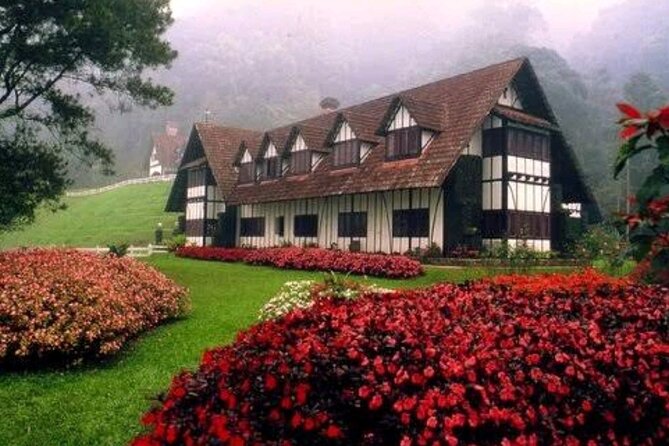 Private Full-Day Cameron Highlands Nature Tour from Kuala Lumpur - Brinchang Town Vibes, Roses, and a Temple with Views