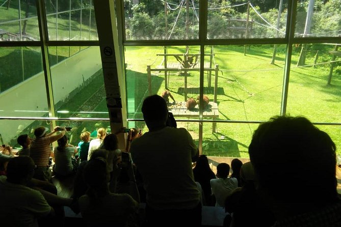 Private Full Day Sepilok Orang Utan, Bornean Sun Bear and Rainforest Discovery Center Tour - A Private Full Day in Sandakan: what this day is really about