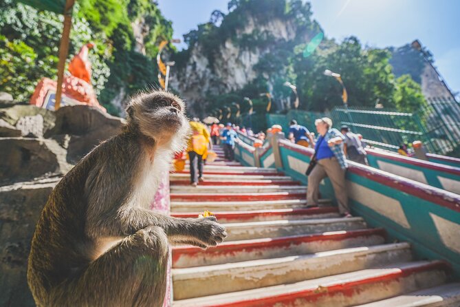 Private Half-Day Batu Caves and Cutural Tour in Kuala Lumpur - Central Market Kuala Lumpur: souvenirs with local craft energy
