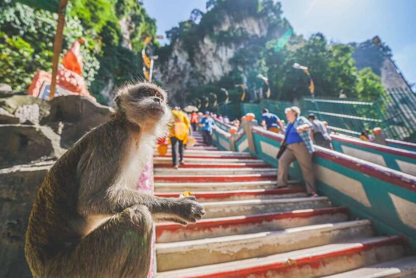 Private KL City Tour with Petronas Twin Towers & Batu Caves - Key Things You Will Remember