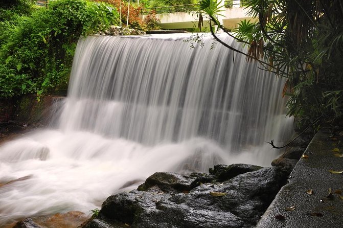 Private Tour: Full Day Center Penang Island Tour - Key highlights worth planning around