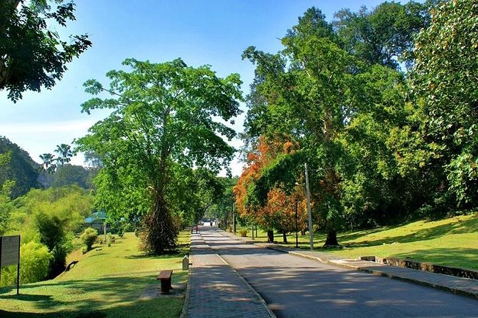 Private Tour: Full Day Center Penang Island Tour - How the 9:00am start sets up a smooth Penang day