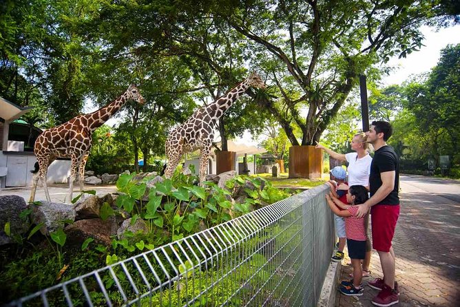 Private Tour to The Best of Animal Attractions in Kuala Lumpur - A one-day wildlife route that actually feels doable