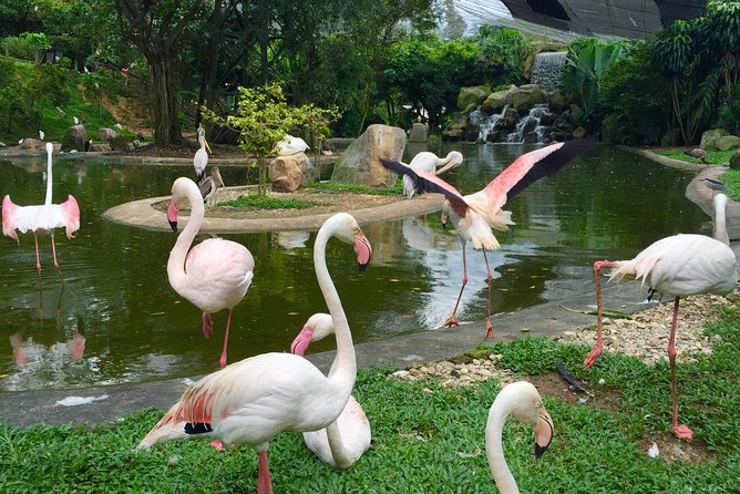 Private Tour to The Best of Animal Attractions in Kuala Lumpur - Aquaria KLCC: 45 minutes in a big aquarium setting