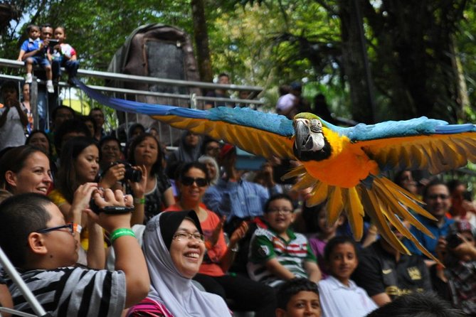 Private Tour to The Best of Animal Attractions in Kuala Lumpur - Butterfly Park: why a 30-minute visit can still be worth it