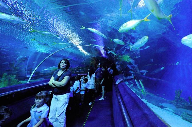 Private Tour to The Best of Animal Attractions in Kuala Lumpur - Zoo Negara: your longest stop, and how to cover more