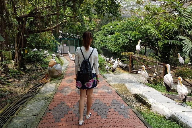 Private Tour to The Best of Animal Attractions in Kuala Lumpur - What the timing feels like in real life