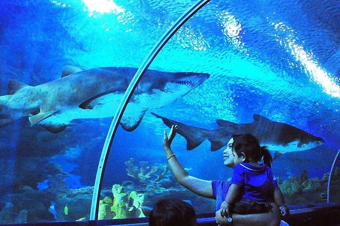 Private Tour to The Best of Animal Attractions in Kuala Lumpur - KL Bird Park: more than 3,000 birds across about 200 species