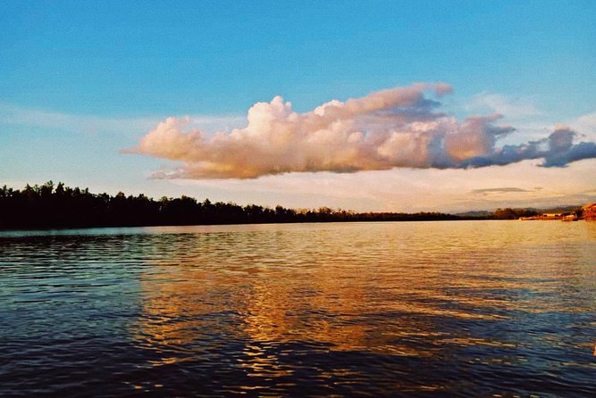 Proboscis Monkey and Fireflies River Cruise - Why this Kota Kinabalu cruise pairs mangroves, primates, and fireflies