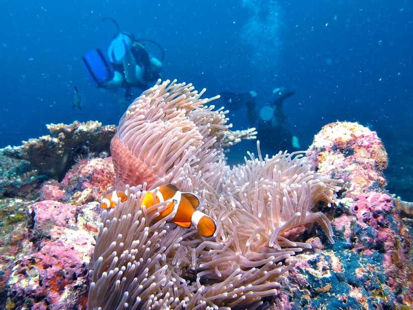 RAID Try-Dive in Kota Kinabalu, Sabah - Meeting at DBKK Jetty, then getting out to the islands