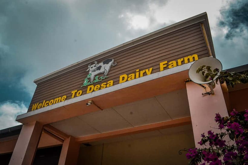 Sabah: Kinabalu Park, Poring Hot Springs & Desa Farm Tour - Price and value: what $79 includes, and where costs can show up anyway