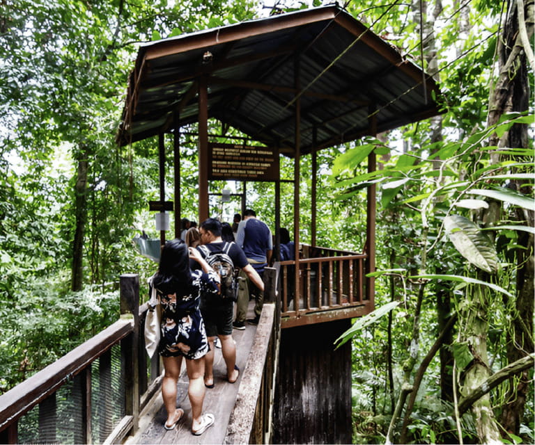 Sabah: Kota Kinabalu Park and Hot Spring Day Trip - Poring Hot Springs: sulfur baths and butterfly options