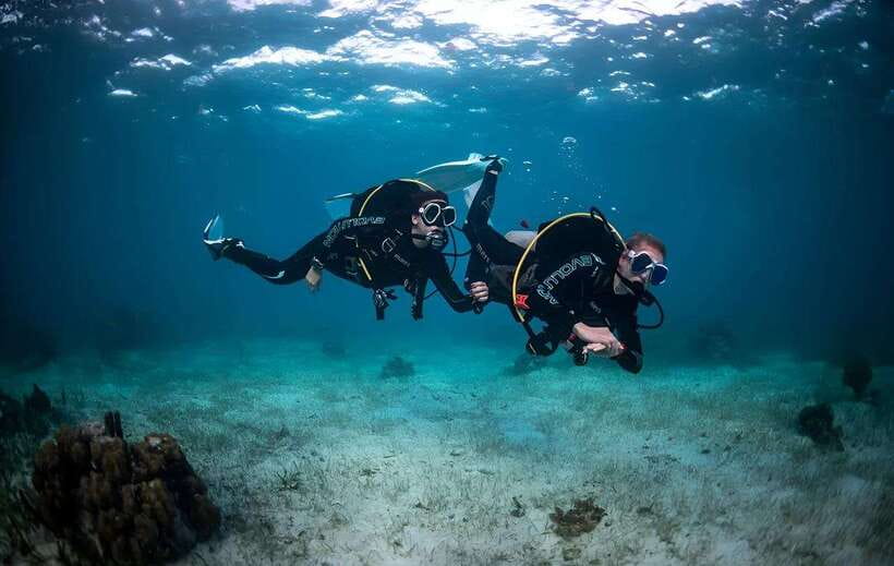 Sabah : Mamutik & Sapi Island Excursion Ticket - Key Points You’ll Care About