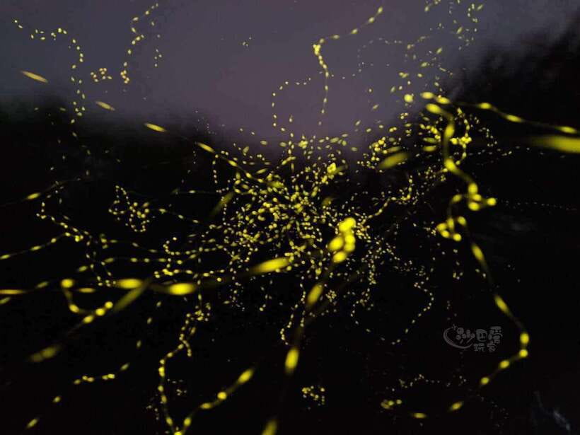 Sabah: Mangrove Fireflies, and Sky Mirror Dream Beach Tour - Key highlights worth getting excited about
