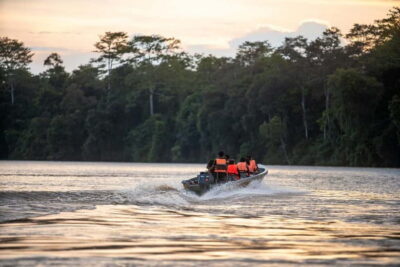 Kinabatangan River Wildlife Cruise with Lunch
