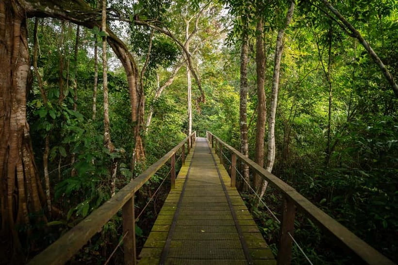 Sandakan: Kinabatangan River Wildlife Cruise with Lunch - What to Bring (So You Actually Enjoy the Wildlife Moments)