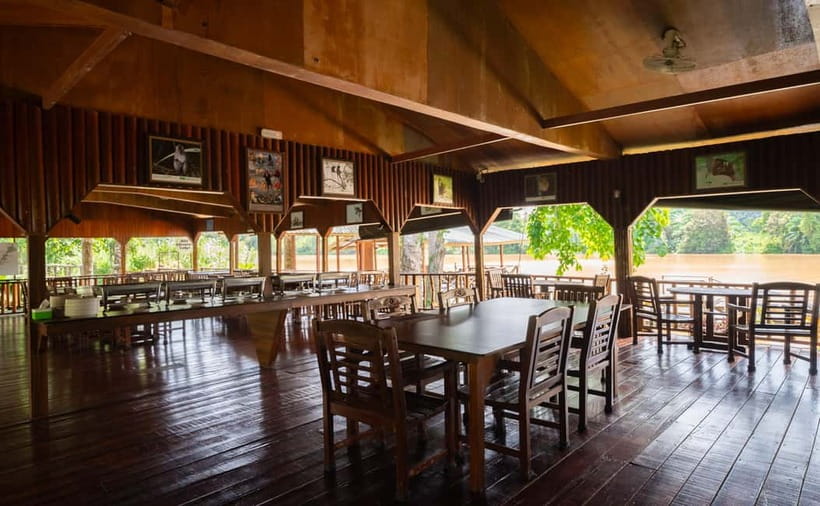 Sandakan: Kinabatangan River Wildlife Cruise with Lunch - Who This Tour Best Suits (And Who Should Skip It)