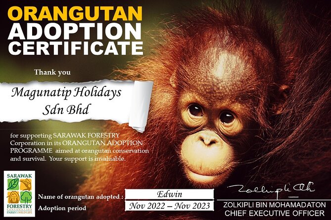 Semenggoh Orangutan Centre from Kuching - The half-day flow from Kuching to the feeding platform