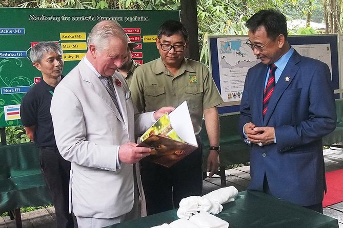 Semenggoh Wildlife Centre Tour: Discover Sarawak’s Orangutans - Semi-wild orangutans and why Semenggoh feels different from a typical zoo stop