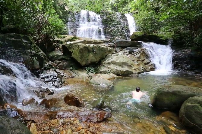 Semenggok Wildlife Centre - Timing, weather, and your best odds for sightings
