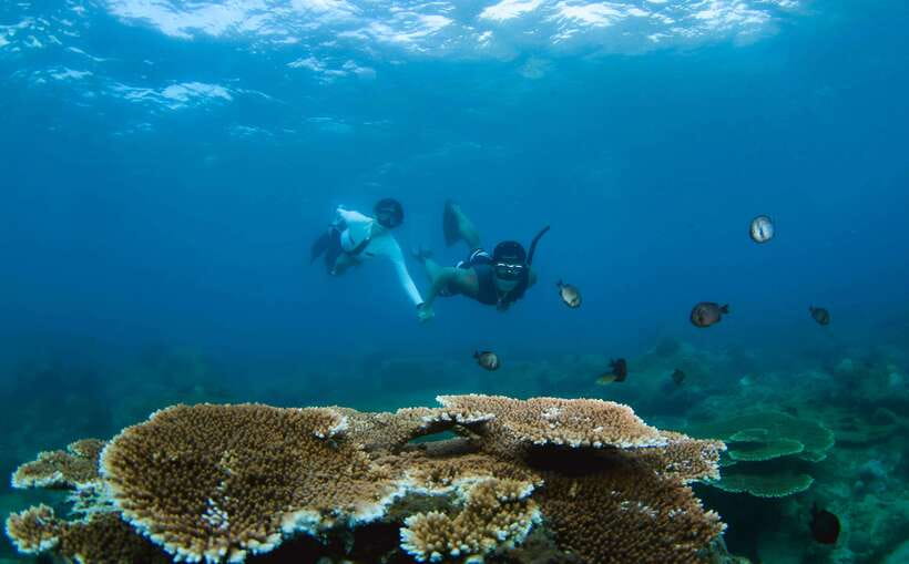 Semporna: Explore 3 Islands Tour Snorkel or Dive & Lunch - Key things to know before you book