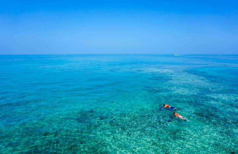 Semporna: Explore 3 Islands Tour Snorkel or Dive & Lunch - What the lunch is like, and how to eat without feeling rushed