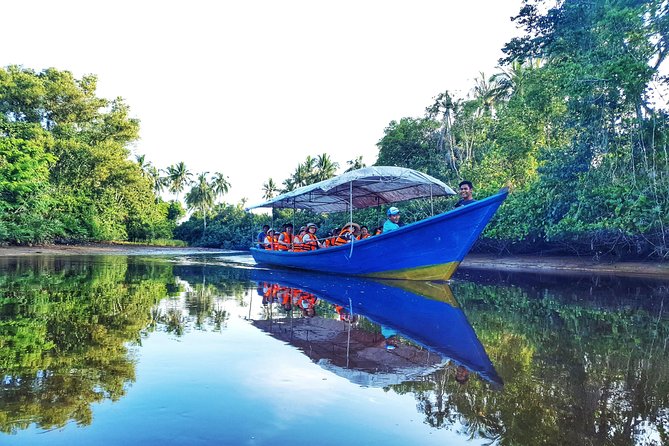 Sky-Mirror Photographing and Proboscis Monkey & Fireflies Watching River-Cruise - Sky Mirror, Monkeys, and Fireflies: Quick Key Points