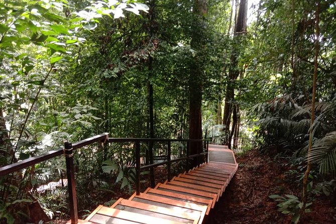 Taman Negara National Park Day Tour (SIC - Join In Tour) - Getting permits and starting the jungle trek at Teresek Hill