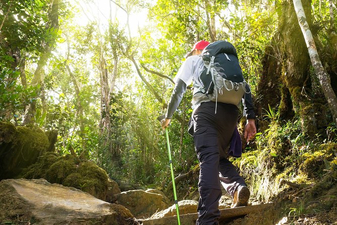 Templer Park and Kanching Waterfall Tour with Batu Caves Stopover - Why private round-trip transfers matter more than you think