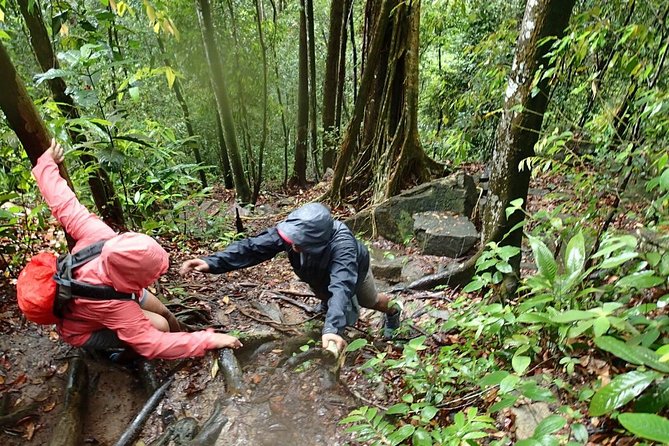 Templer Park and Kanching Waterfall Tour with Batu Caves Stopover - Who this tour fits best, and who should think twice
