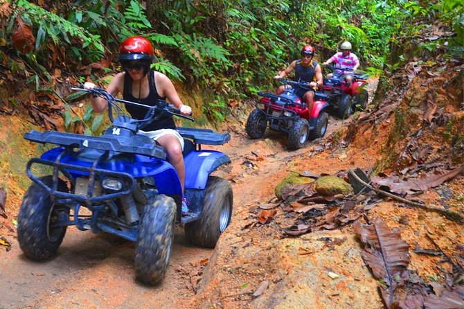 Thrilling ATV Rainforest Off-Road Experience Through Jungle Trail - Transport, Timing, and Why Early or Tight Schedules Matter